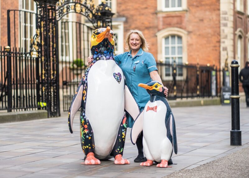 Penguin arts trail